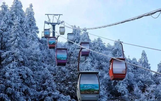 丽水也能过把滑雪瘾qmh球盟会亚博在(图10)
